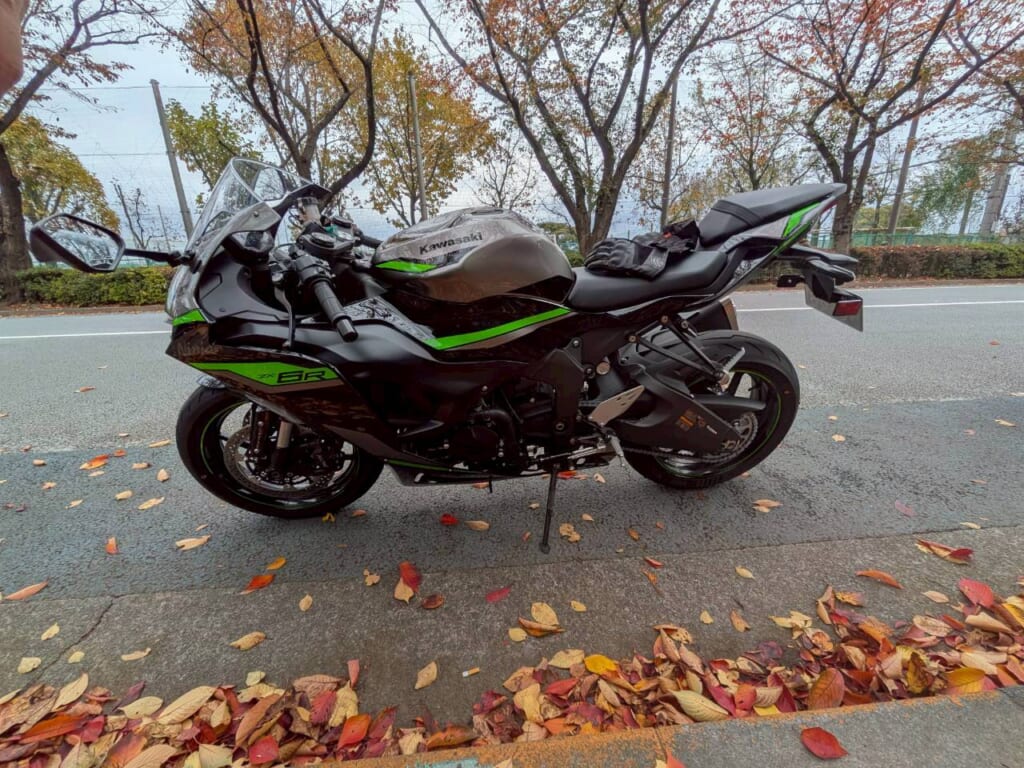 サイドビュー(左側)